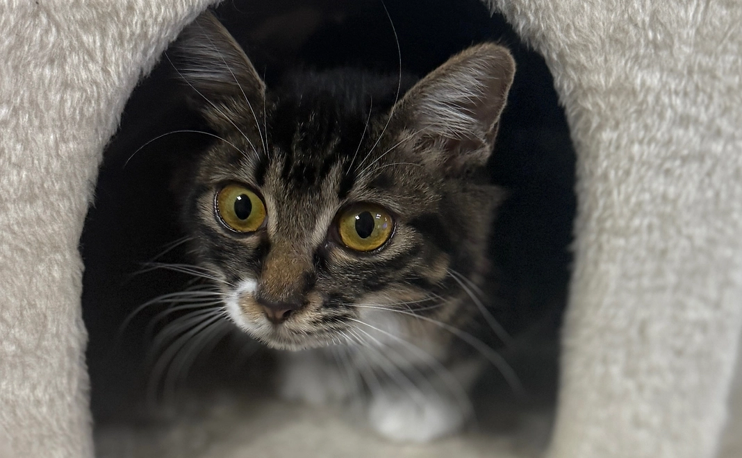 ジジ応援プラン　13