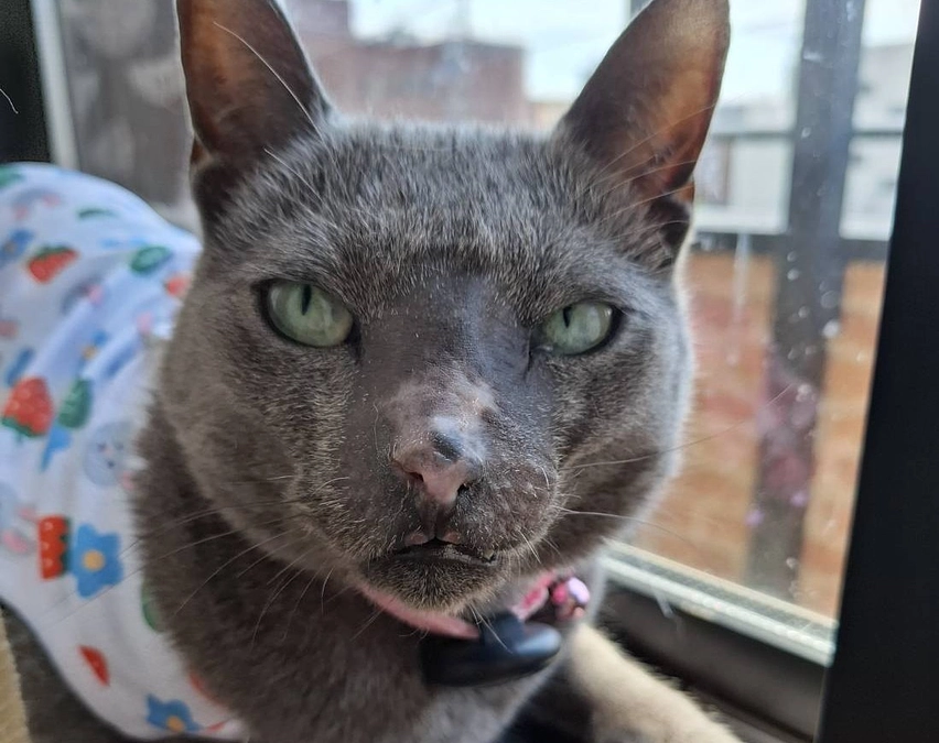 今日は通院日でした。