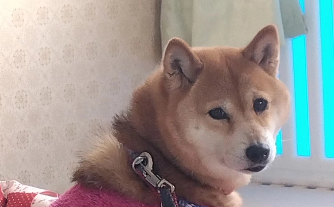 消耗品を買っていただけませんか？