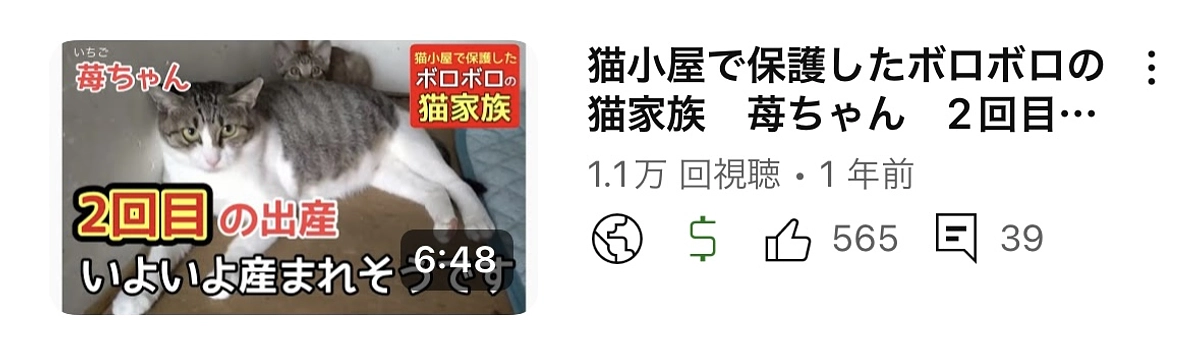 2回目の出産  もうすぐ産まれそうです