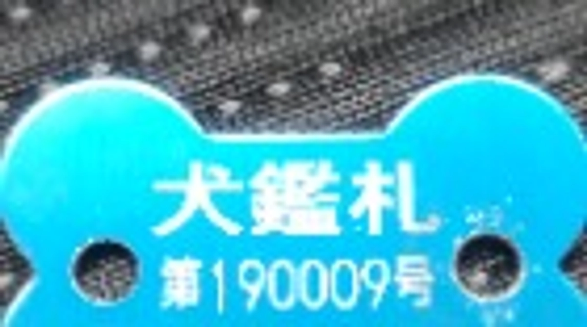 初七日を迎えるにあたり