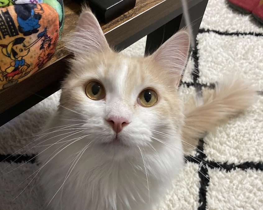 10/21ルイの様子