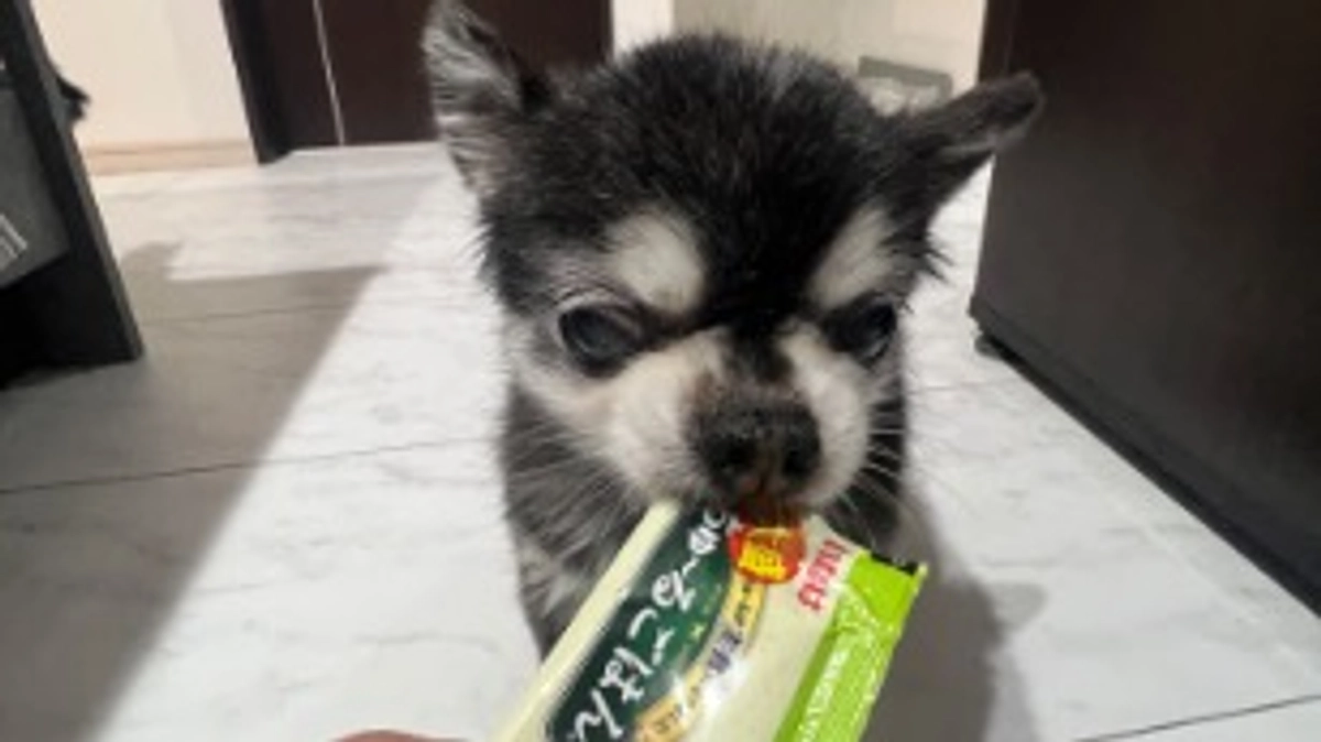 手術日が決まりました。