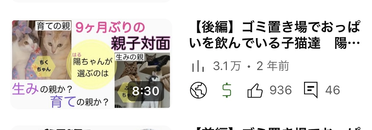 生みの親と育ての親　どちらを選ぶのでしょうか??