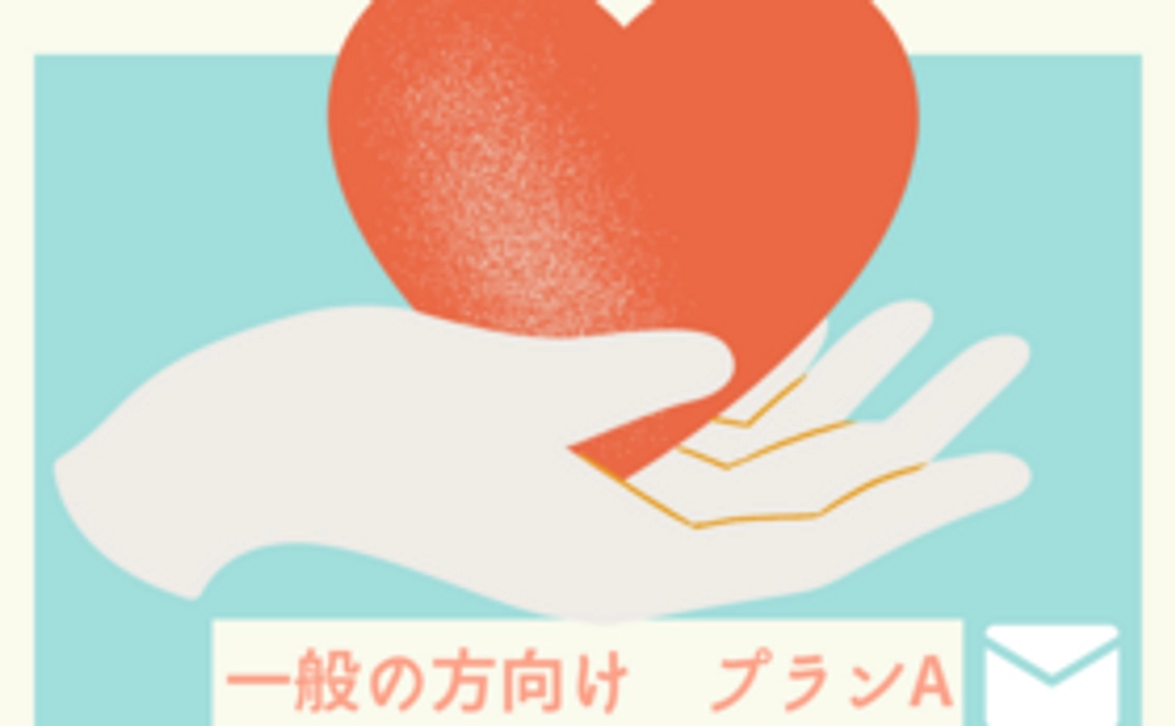 一般の方向け　プランA