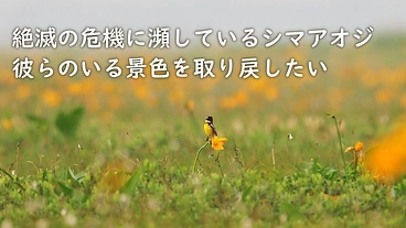 【目標金額を達成しました】応援、本当にありがとうございます!