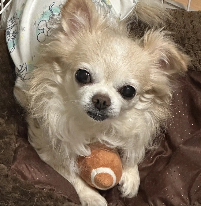 夜中何度も咳が出ていました…。。