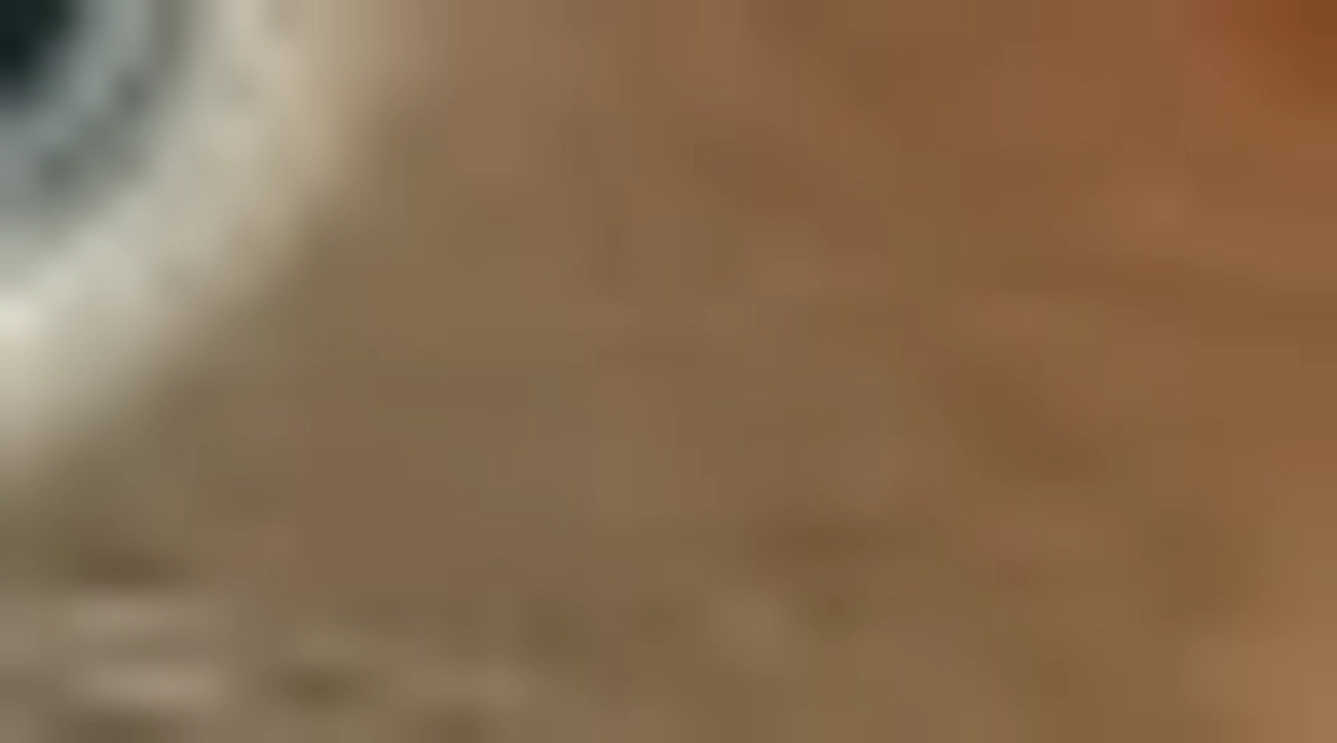 子猫達の保護依頼が続いております。