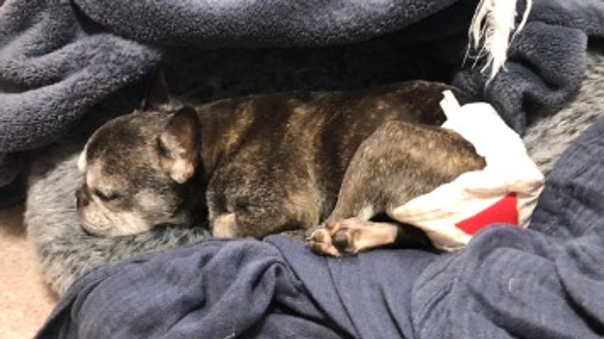 経過報告（締め切りまで残り3日）