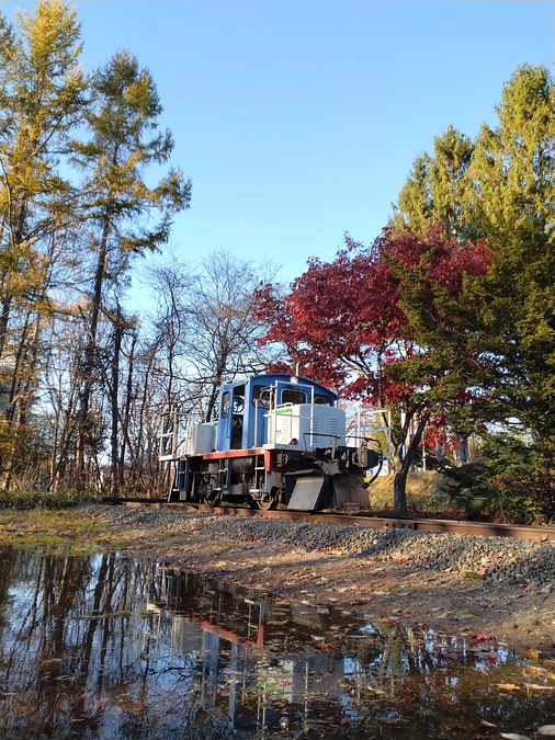 今週末もイベント開催します　　11/8日（土）