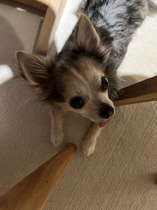 インスタライブありがとうございました🙇💦