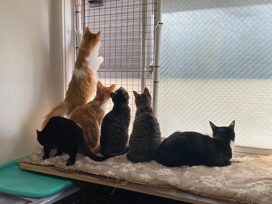 移転先が決まりました！！