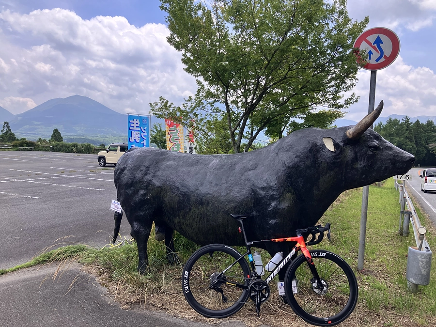 バラモンキングまで後1週間