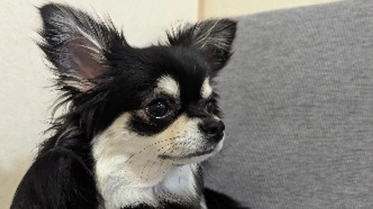 達成することが出来ました