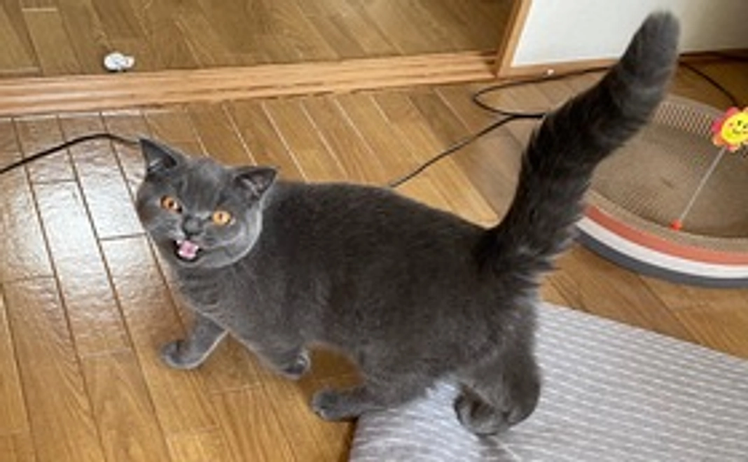 もぐ全額応援(リターン不要）3,000円