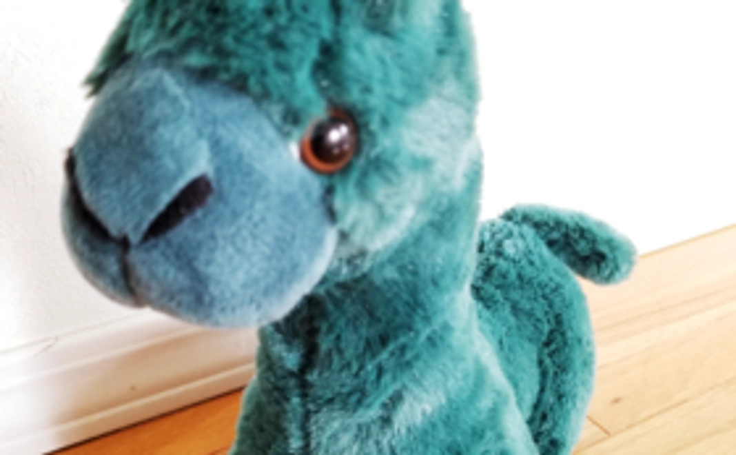 【応援コース】　直筆のサンクスメールを郵送します！