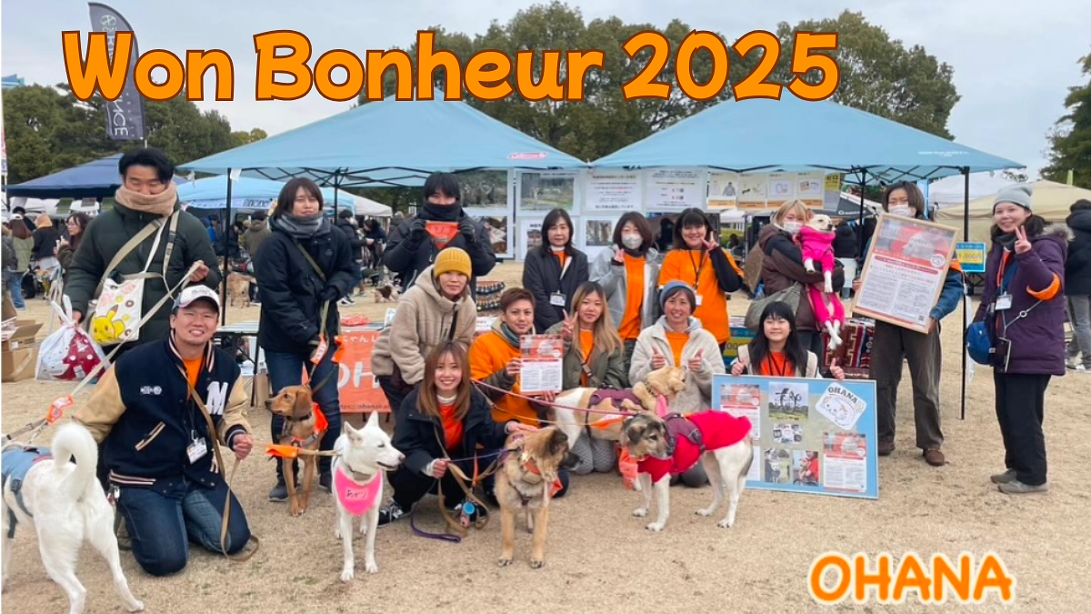 [Won Bonheur 2025]に参加させてもらいました！