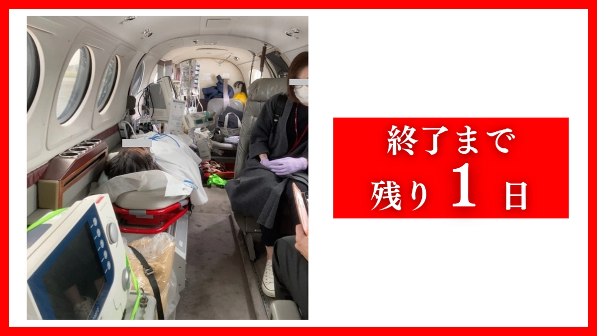 【残り1日】ドラゴン細井様との対談動画がアップされています。