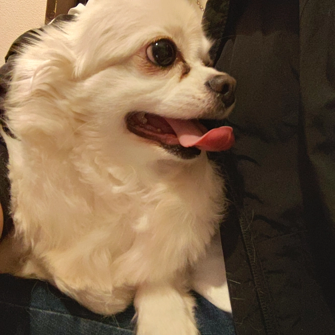 ハンディキャップって私は気になりません。それってその子の個性でもあるから。