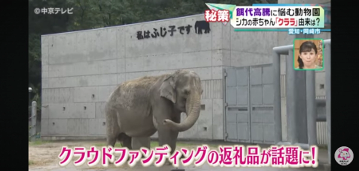 【活動報告63】中京テレビ『キャッチ！』さんで東公園動物園のクラファンを紹介していただきました！