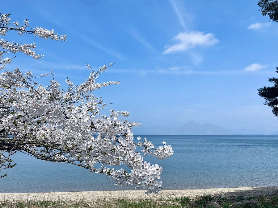 解体開始をしました！