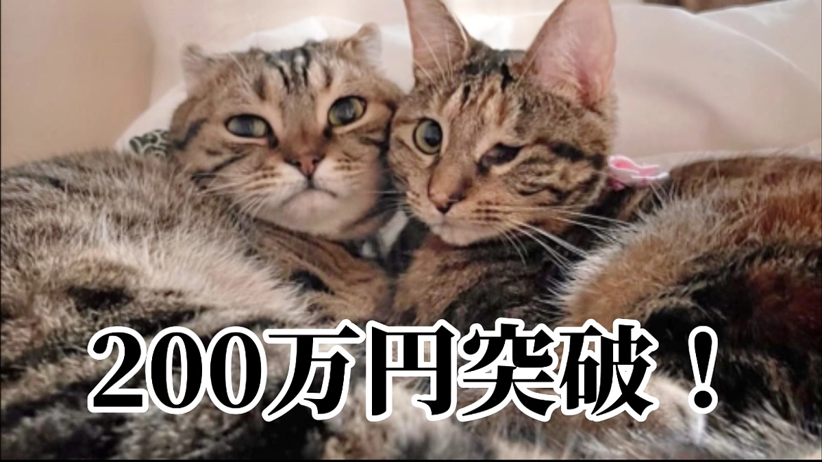 200万円を突破しました！