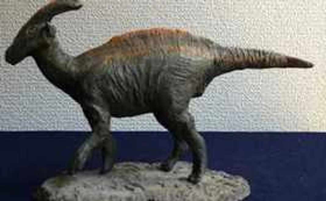 KUROHIGE　広瀬さんの作品　「アンキロサウルス」