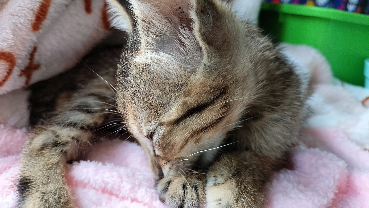 皆様ありがとうございます。