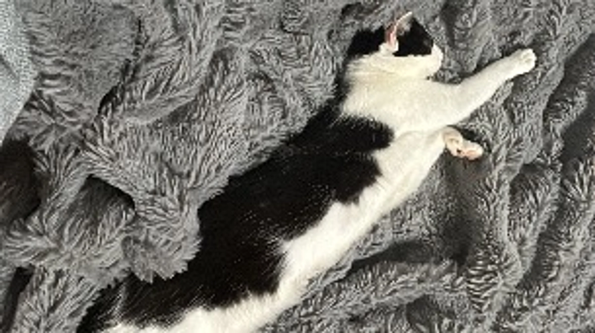 残り10日となりました。