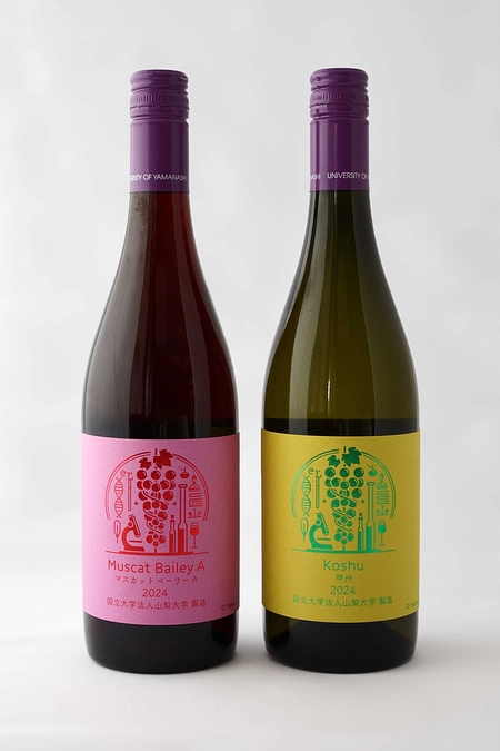 シン・山梨大学ワイン2024」販売スタート！