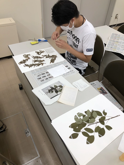 博物館実習が開講されました