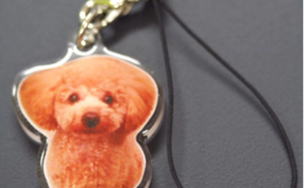 あなたのペットをキーホルダーに！