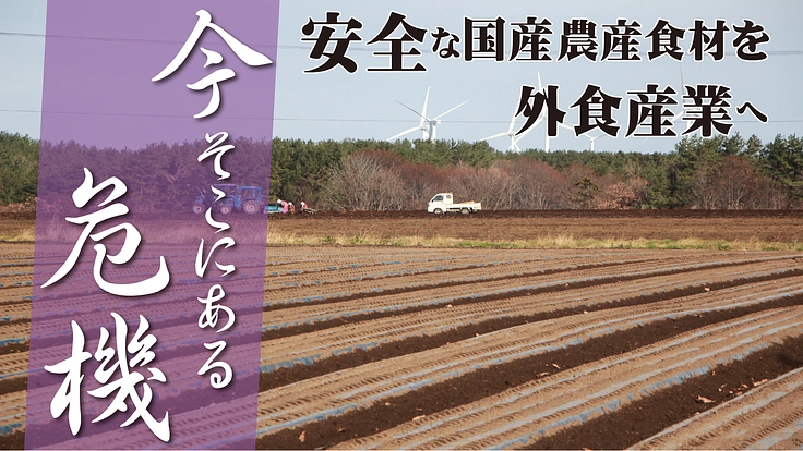 安全な国産農産食材を外食産業へ採用させたい