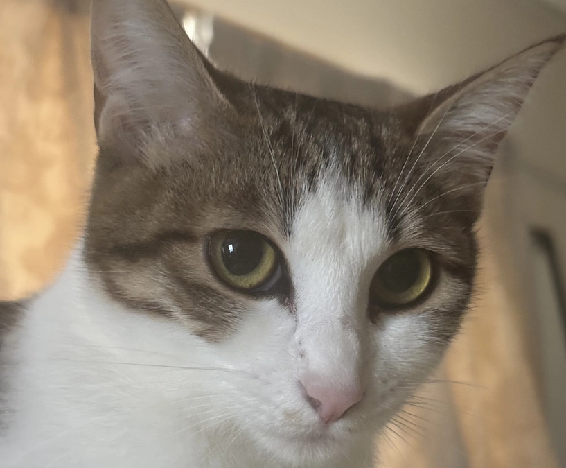 投薬43日目のご報告