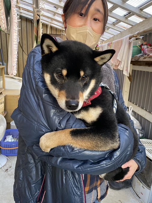 輪島市の被災ペット達