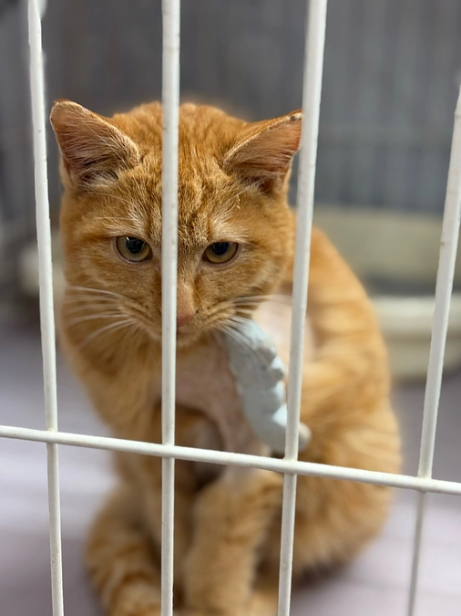 今年も宜しくお願い致します。