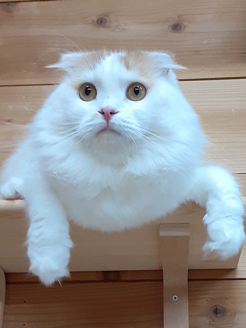 プロジェクトも半分が過ぎ、残り20日となりました。