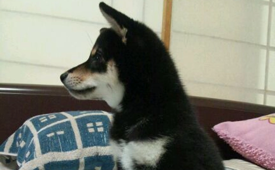 感謝メール（3,000円）