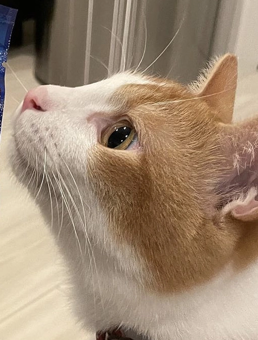 投薬注射について