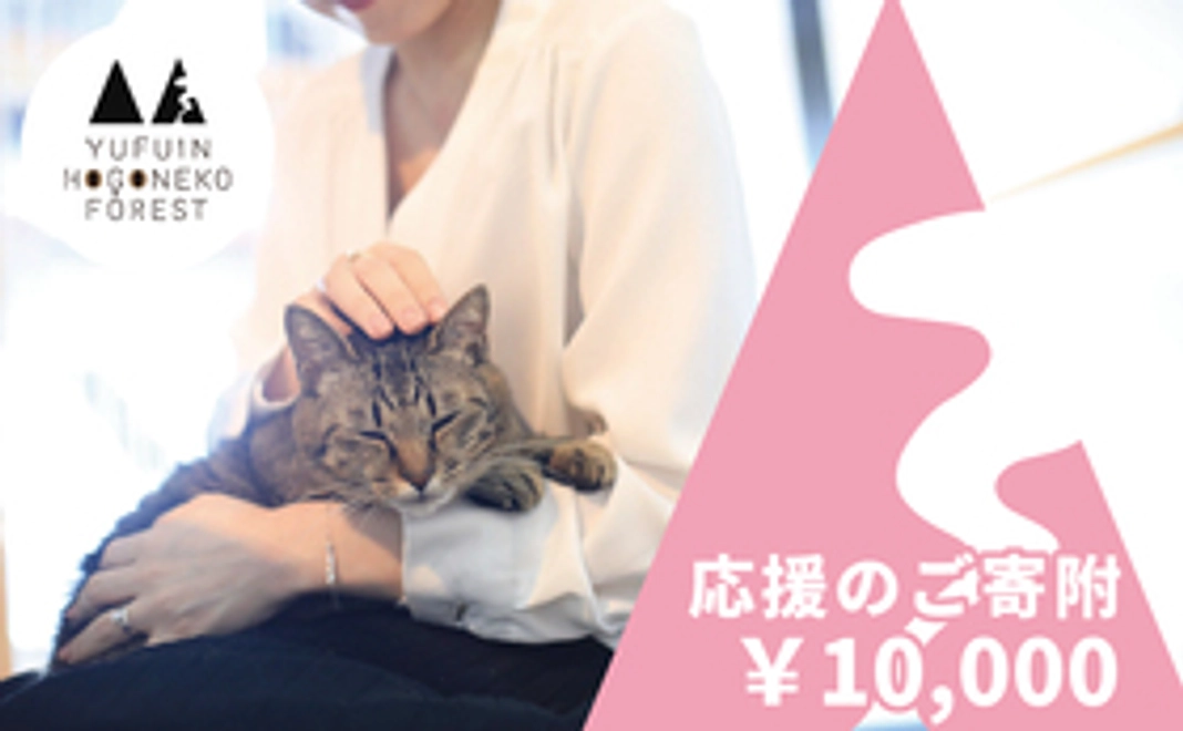 応援のご寄付│10000円