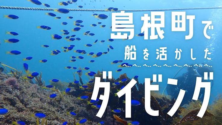 松江市島根町、海の魅力溢れる地で船を活かしたダイビング体験作りたい