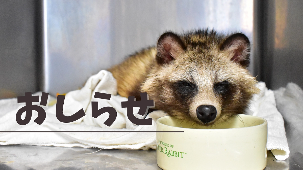 アメブロでお知らせを更新しました！