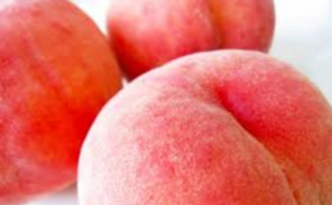 【ご支援ありがとうございます】岡山特産の果物をお送りします