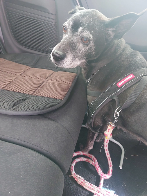 ご支援大変感謝いたします！今のホープです