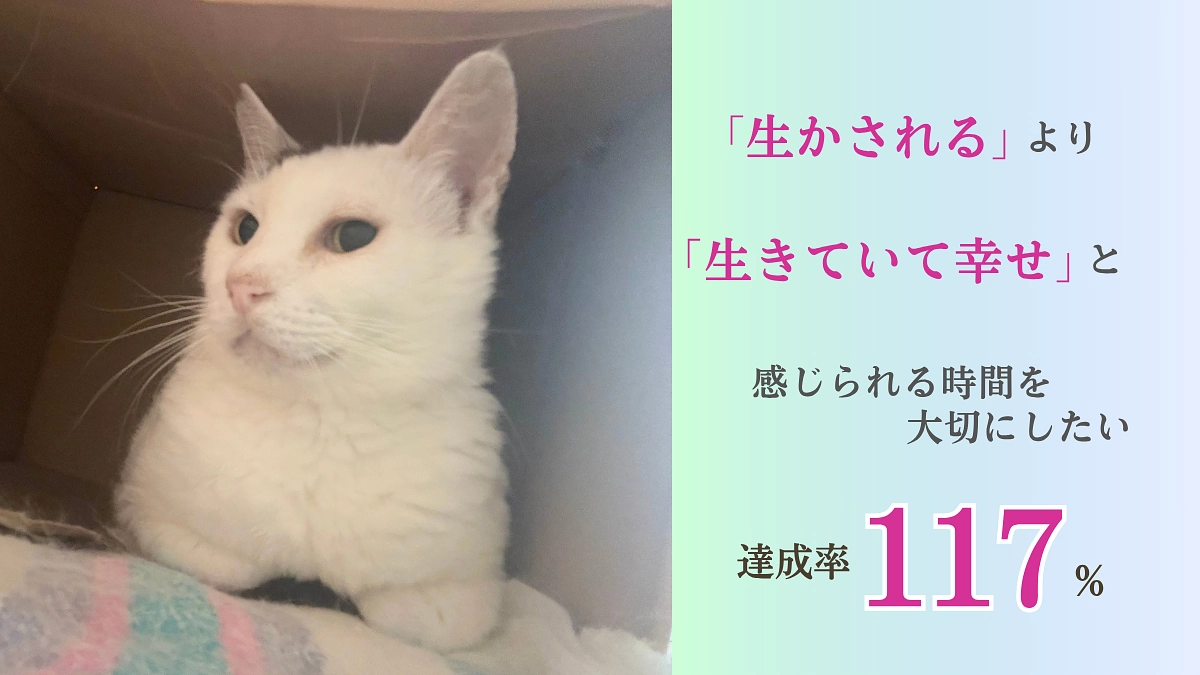 【生かされるより、生きていて幸せと感じられる時間を】こまりちゃんの事