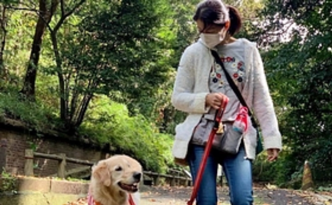 ファシリティドッグとお散歩体験コース【税制優遇対象】