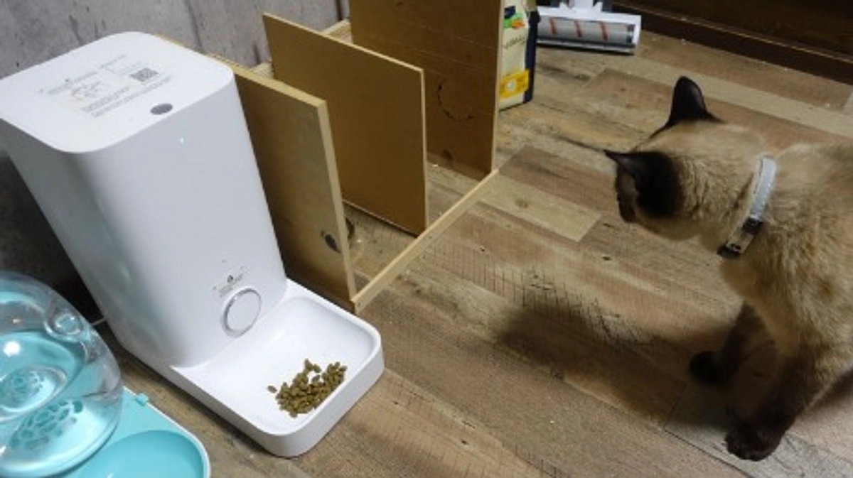 ★2023.6/10自宅での投薬開始54日目★