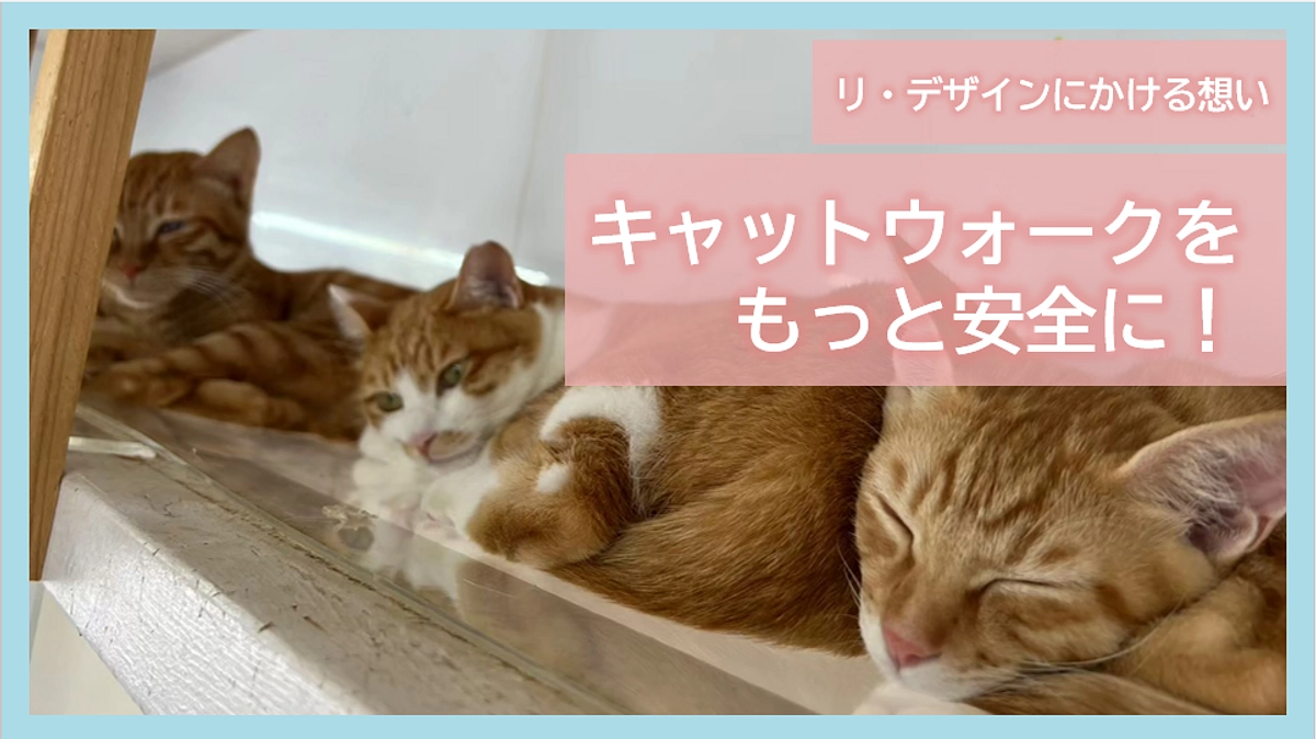 リ・デザインにかける想い｜キャットウォークをもっと安全に！