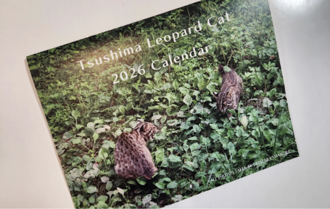 やべっちのグッズ紹介