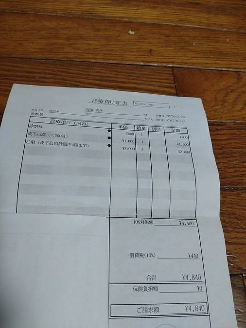 クロ君💕　通院🚙